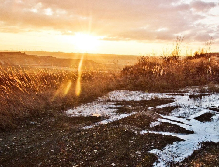 在线接收云短信验证码