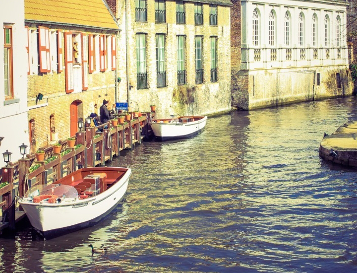 电话轰炸机网页版