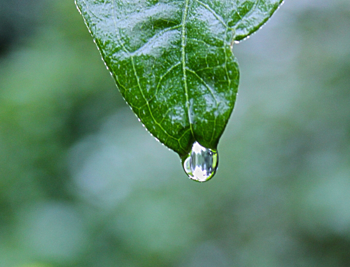 无限循环呼叫电话软件