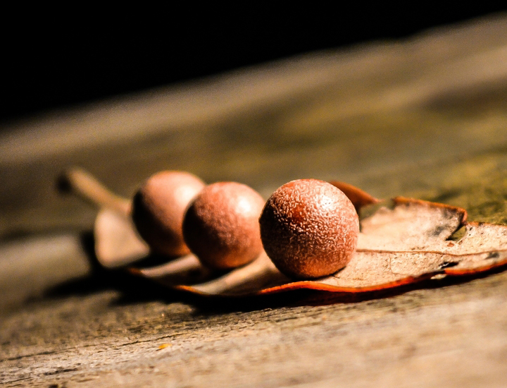 在哪买有保障的免费网络电话在线使用